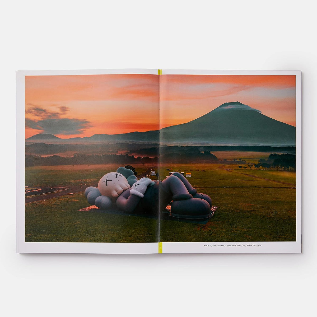 KAWS WHAT PARTY BOOK