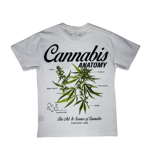 CANABIS ANATOMY TEE