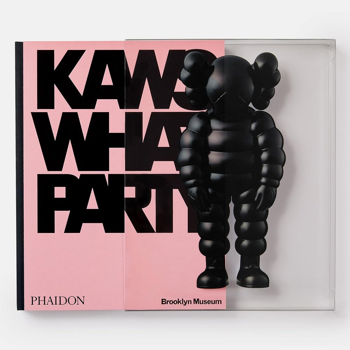 KAWS WHAT PARTY BOOK