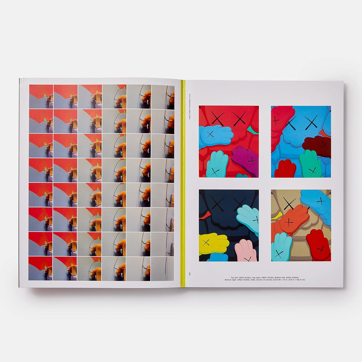 KAWS WHAT PARTY BOOK