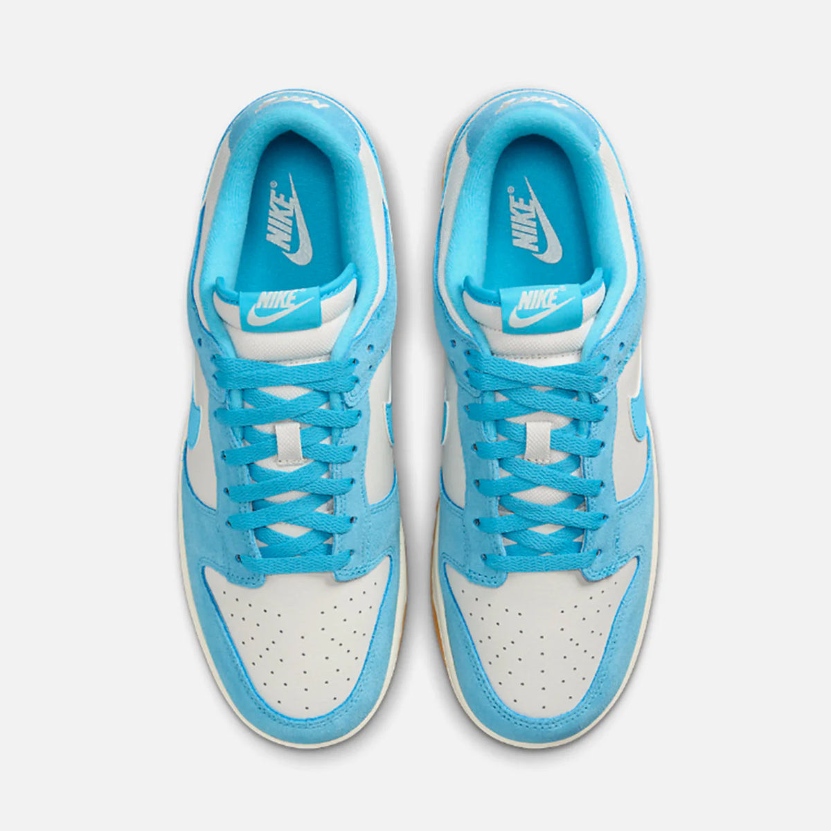 NIKE DUNK LOW RETRO SEUDE